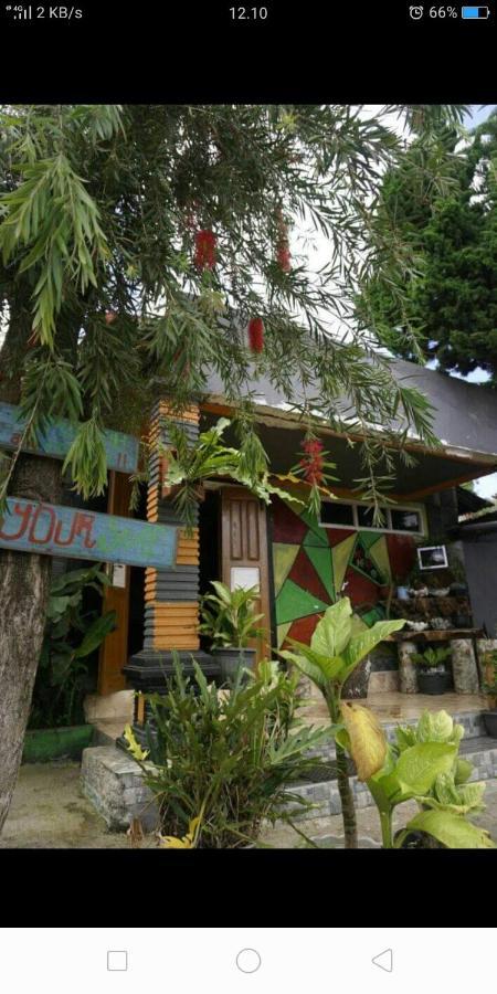 Isi Langa Home Stay Bajawa Extérieur photo